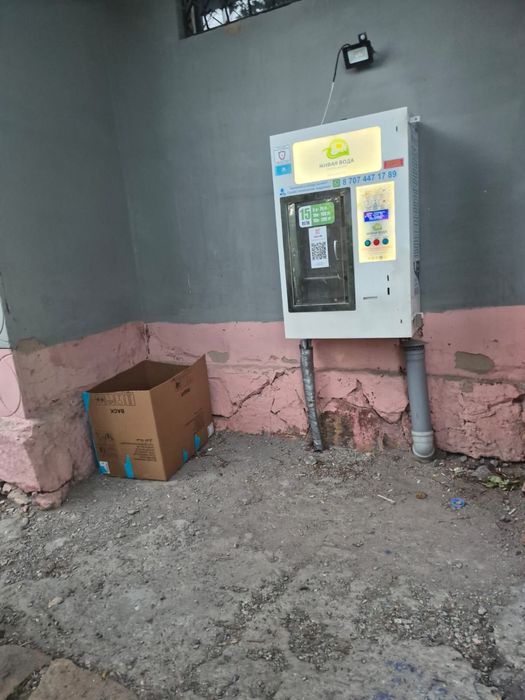 Котята красивые срочно!
