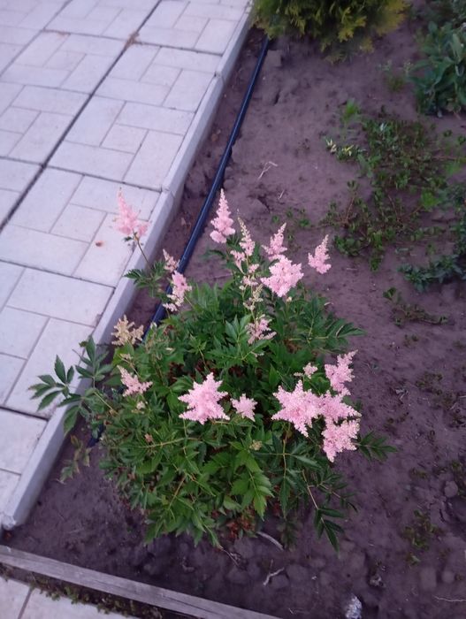 Продам дачу с.т. Веснянка