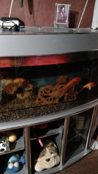 Акварюм с рыбими б/у