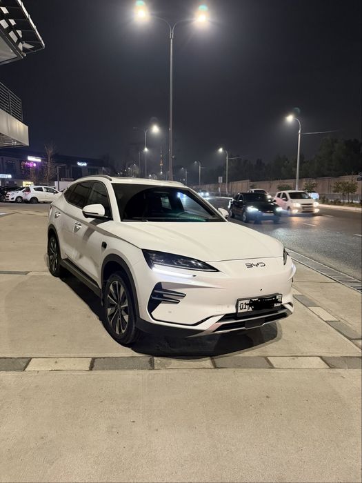 Byd champion 605 kmli