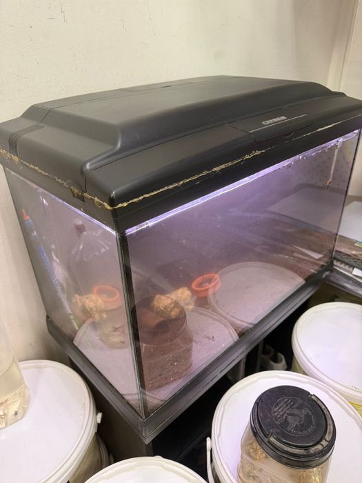 Продам аквариум FERPLAST на 60 литров