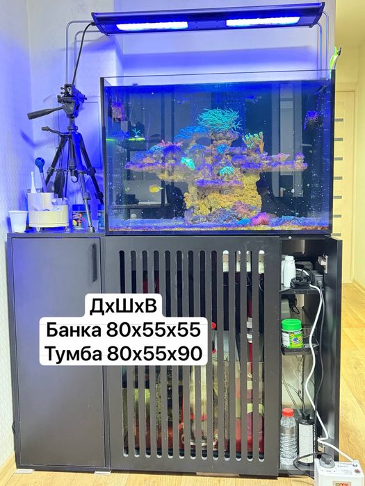 Морской аквариум