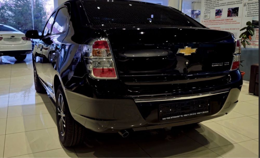 Cobalt  MCM Midnight 2026