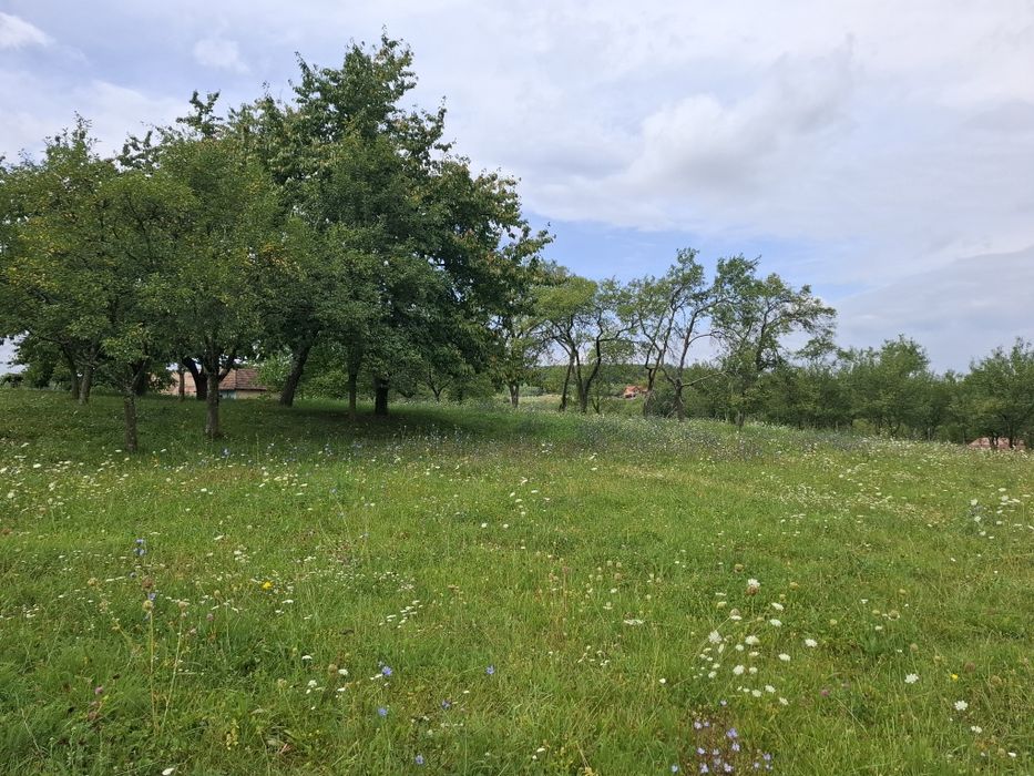 Teren intravilan Fetindia jud Sălaj