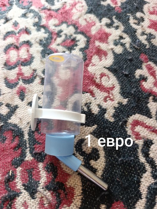 Аксесоари за морско свинче