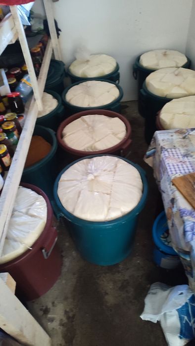 Vând brânză de oaie telemea