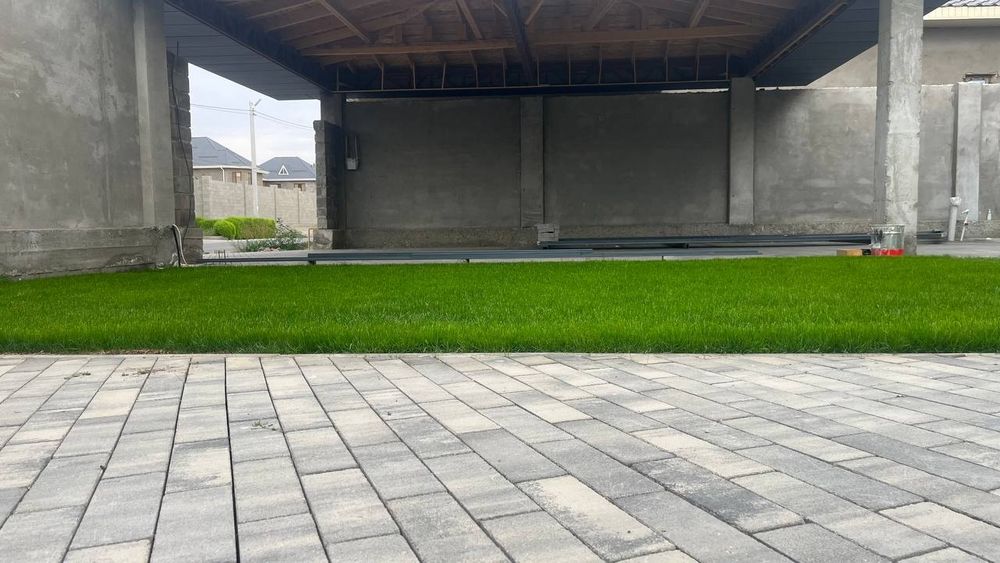 Газон и автополив