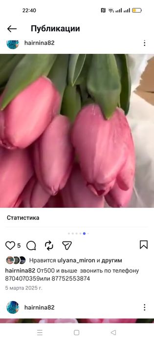 Тюльпаны свежие хороший выбор