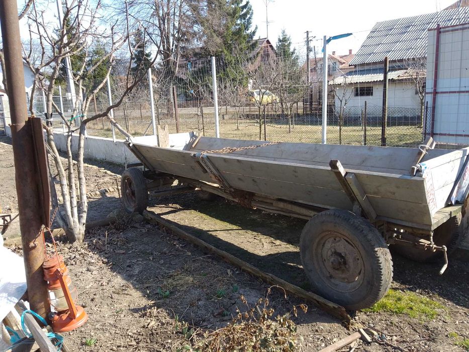 Faiton in stare buna