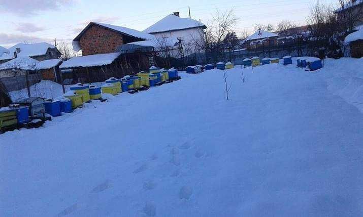 Продава се Парцел в с. Боровци, Област Монтана - 790 кв.м за 16 €/кв.м - Снимка #11