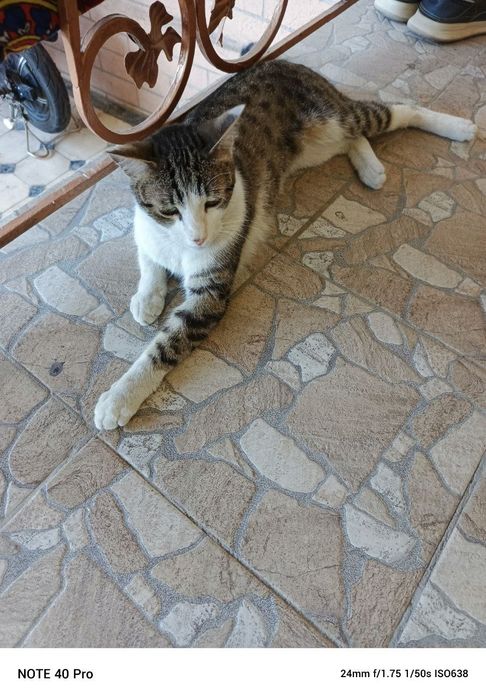 Hadiyaga yaxshi qoʻllaga