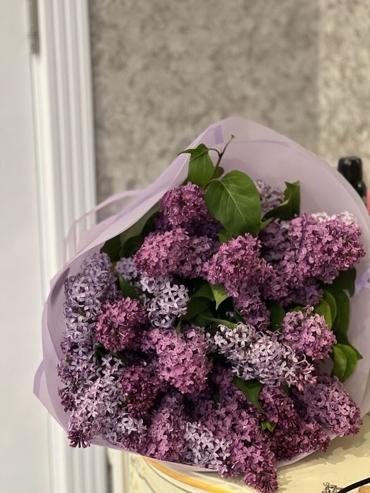 Продам сирень букет свежий