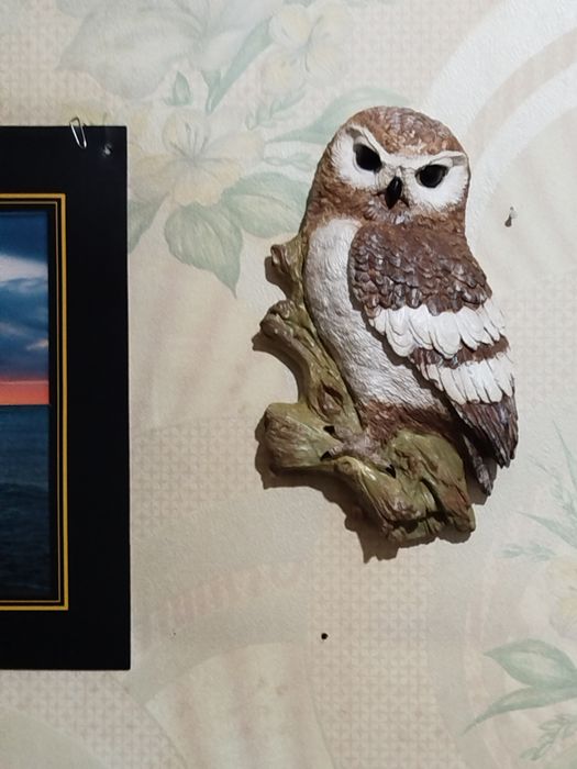 Панно Сова Букля