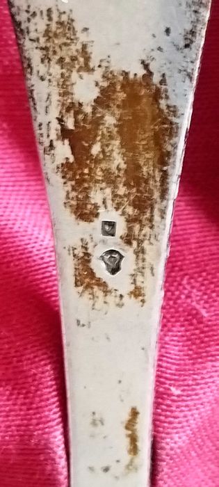 6 lingurite argint , marcaj delfini