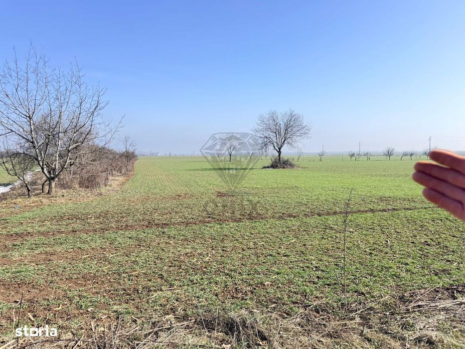 Teren 3000mp Baicoi intravilan