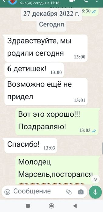 Йоркширский терьер вязка