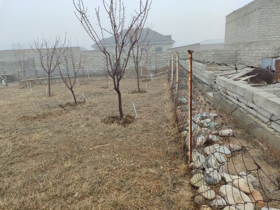 20 шт. қазығымен