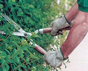 Întreținere spații verzi, contract - factură