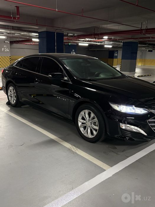 MALIBU 2 Primier 2022