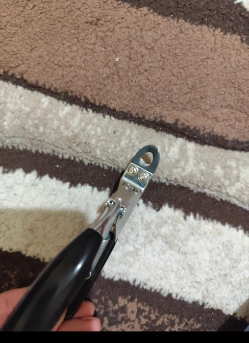 Mașină tuns animale