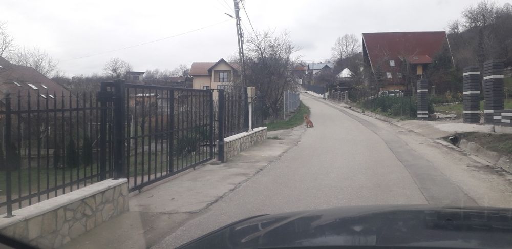 Teren Vladesti Priporu