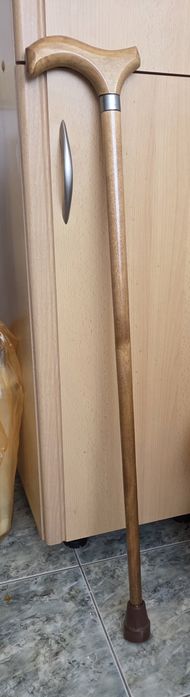 Трость бесплатно