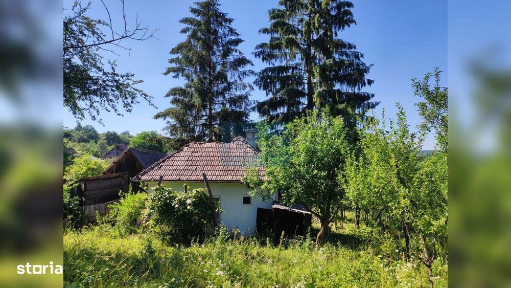 Teren 7200 mp, casa veche, apa, curent 35 km de Cluj Napoca, Topa Mica