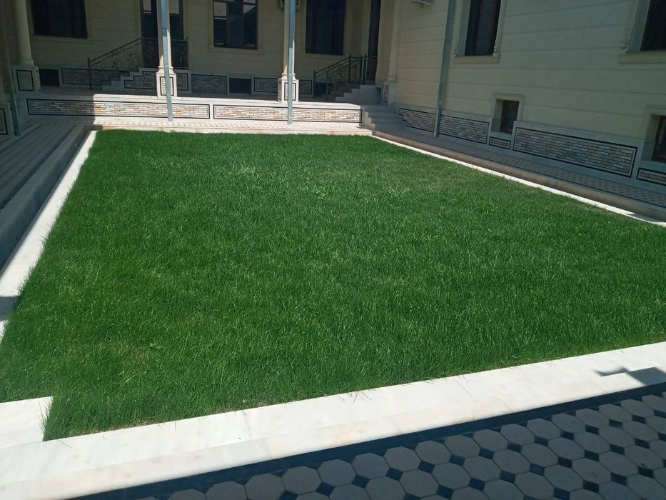 Gazon va archalar bor