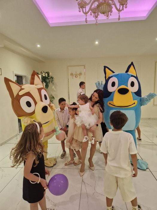 Аниматор Блуи и Бинго