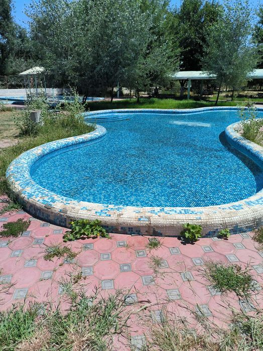 Sirdaryo daryosida Damolish Maskani sot Продается Зона Отдыха Сырдарья