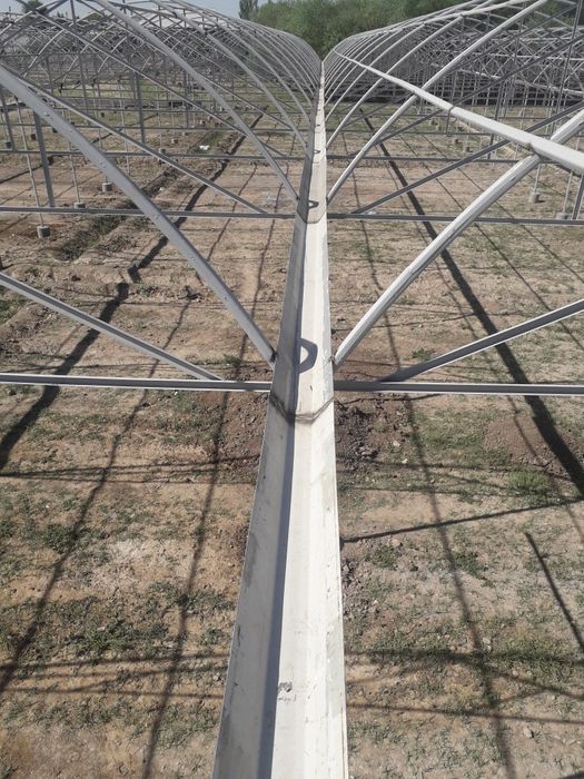 Исихона хизмати  Узбекистон бойлаб