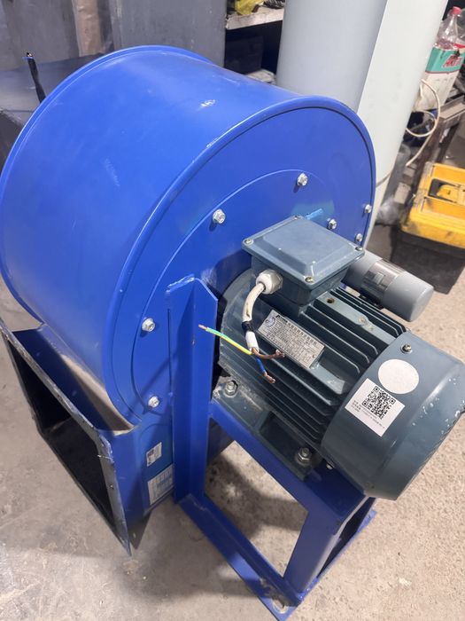 Pashtiy yeng oyilga 3 oy iwlatilgan