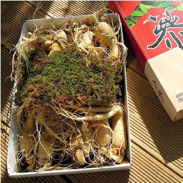 Siz uchun maxsus! Tabiiy mahsulotlar!