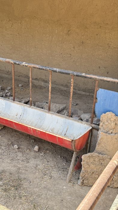 Кормушка для баранов