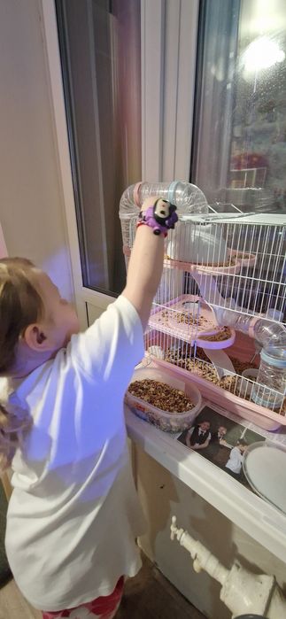 Продам клетку для грызуна