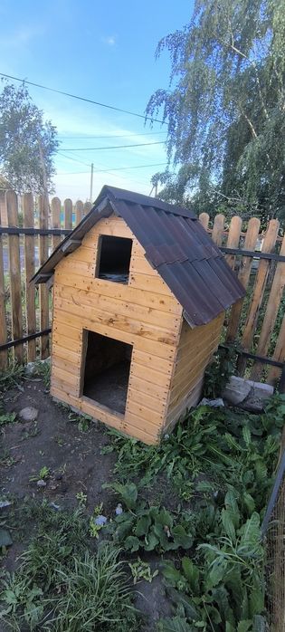 Продам будку для собаки
