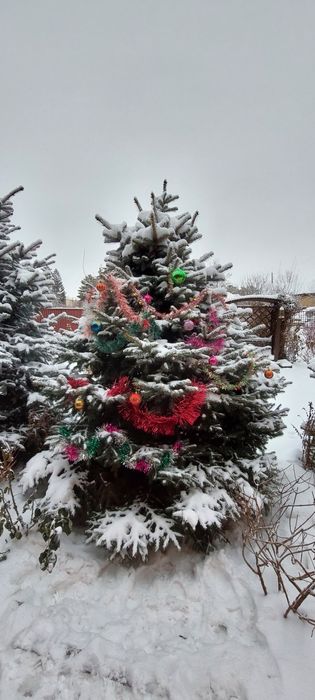 Сдам посуточно коттедж