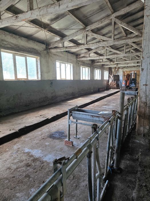 Urgent!! Oportunitate rara - Ferma de vaci, com Breaza, Suceava