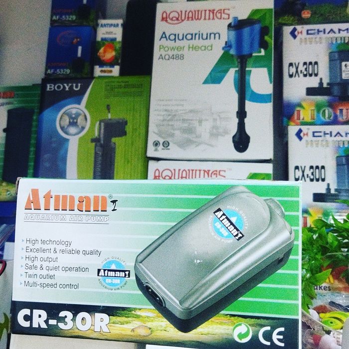 Помпа в Афалине.ниже Аль Фараби.по Навои