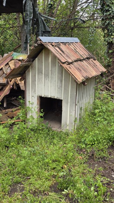 Donez cusca stare buna