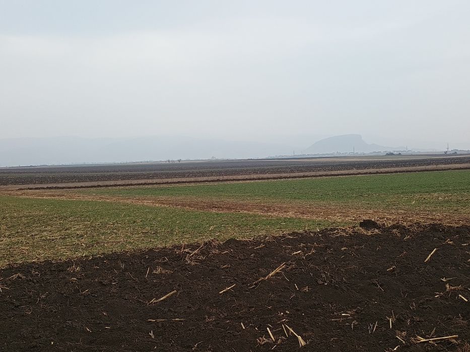 Vând Teren Extravilan