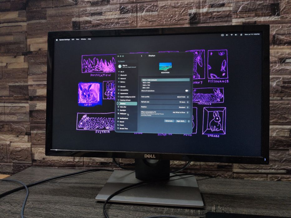 Monitor DELL 16:9 1920x1080 75hz 24" (SE2417HGX)