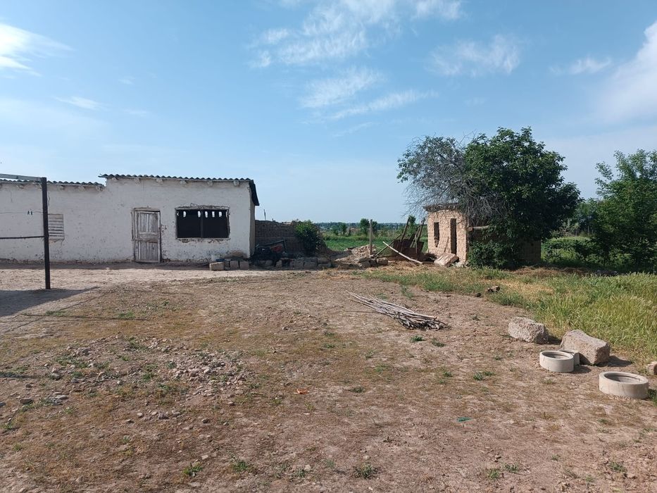 Бука тумани Самарканд МФЙ ДАВЛАТОВУЛ кишлогида 60 сотих уй-ховли сотил