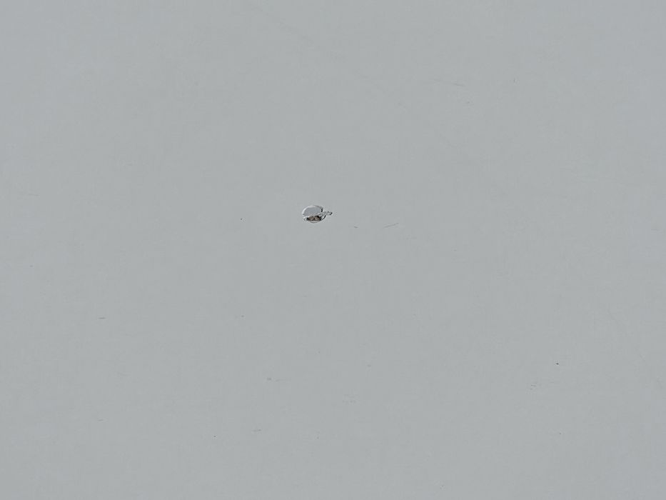 Луксозен италянски  скрин /комод/с полиуретаново покритие