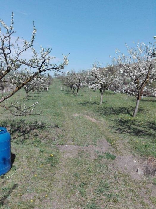 Teren intravilan Sopor