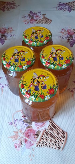 Vând miere de salcâm, producție 2024