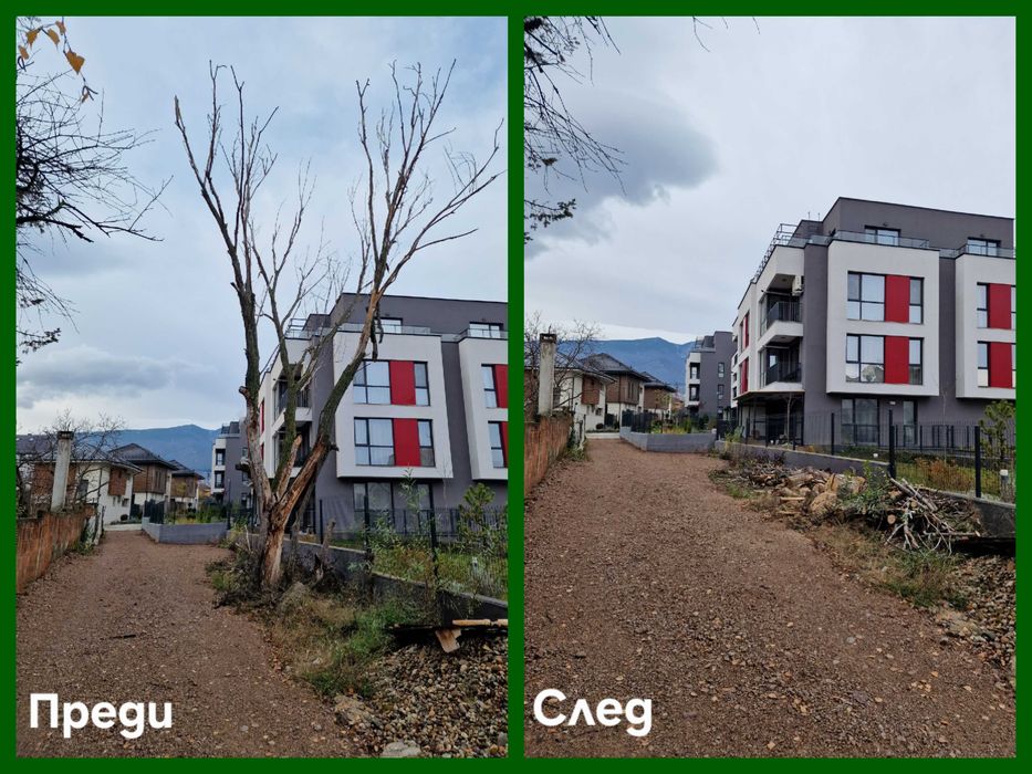 Професионално рязане и кастрене на опасни дървета с автовишка София