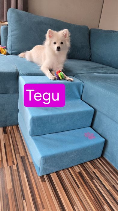 Продавам стълби за домашни любимци