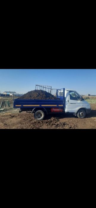 Перегной навоз .