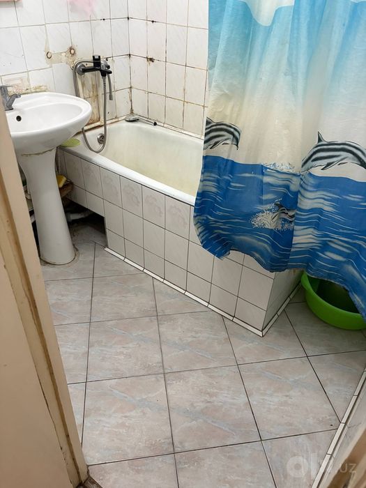 Qizlarga kvartira